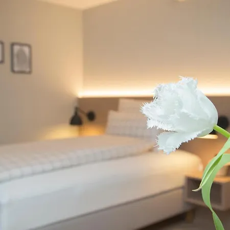 Businesshotel Forum 4*